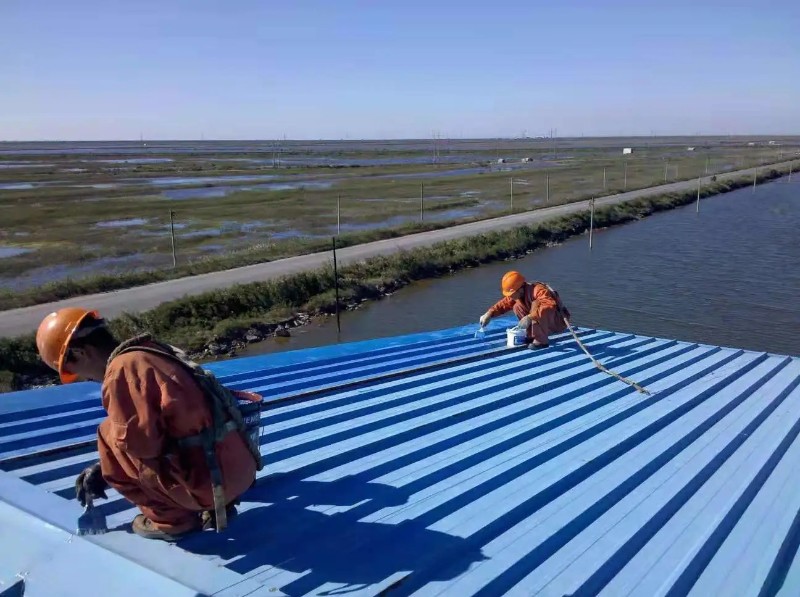 潜江经济开发区彩钢瓦屋面防腐翻新